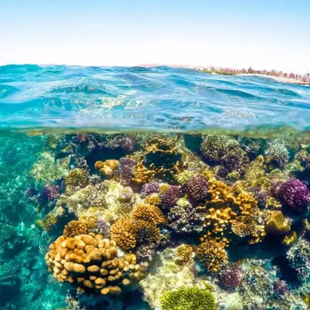 061438e12c61c548ee1eddf1c17d228e