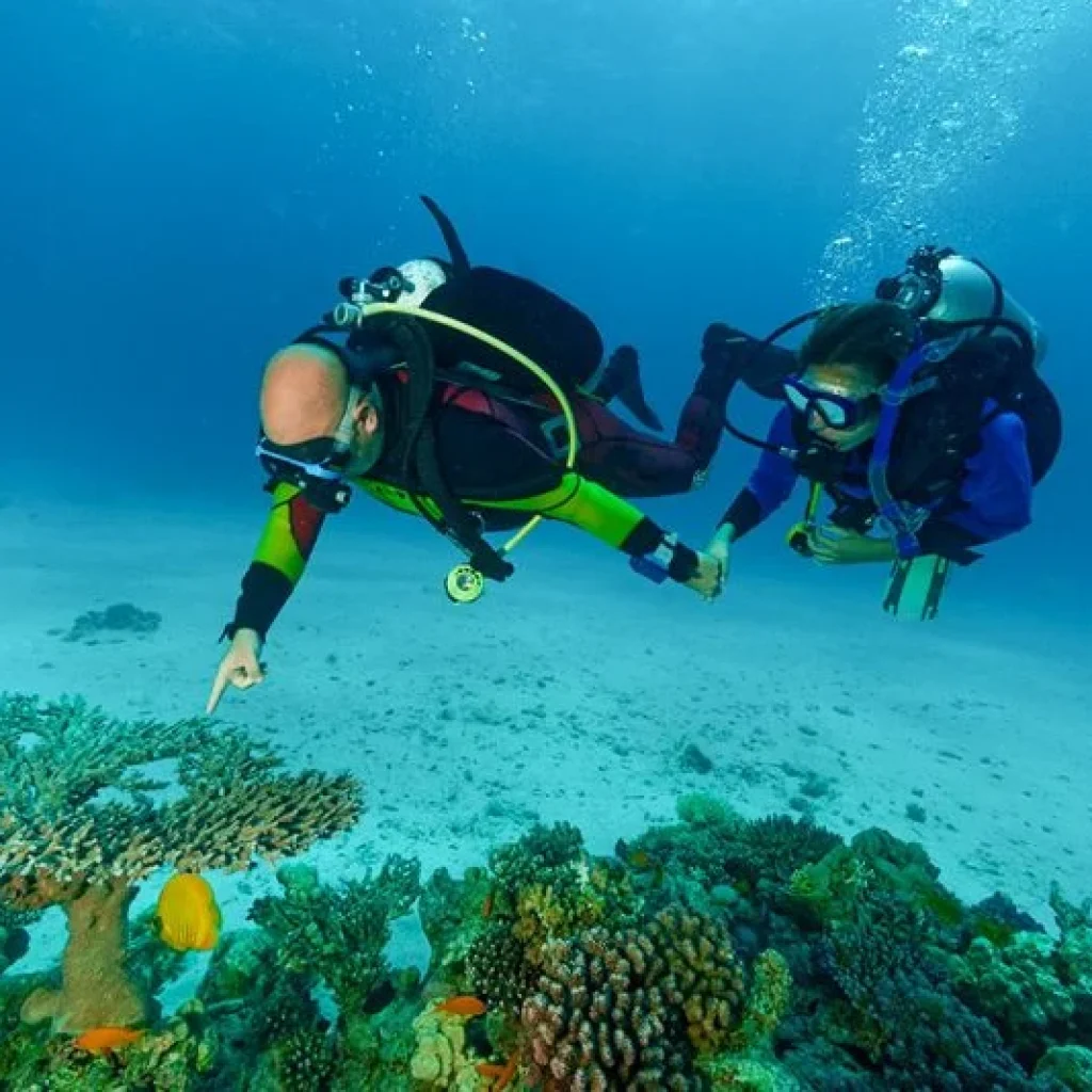 606ff752c9bfedbb2955a3dfea7e3c1a