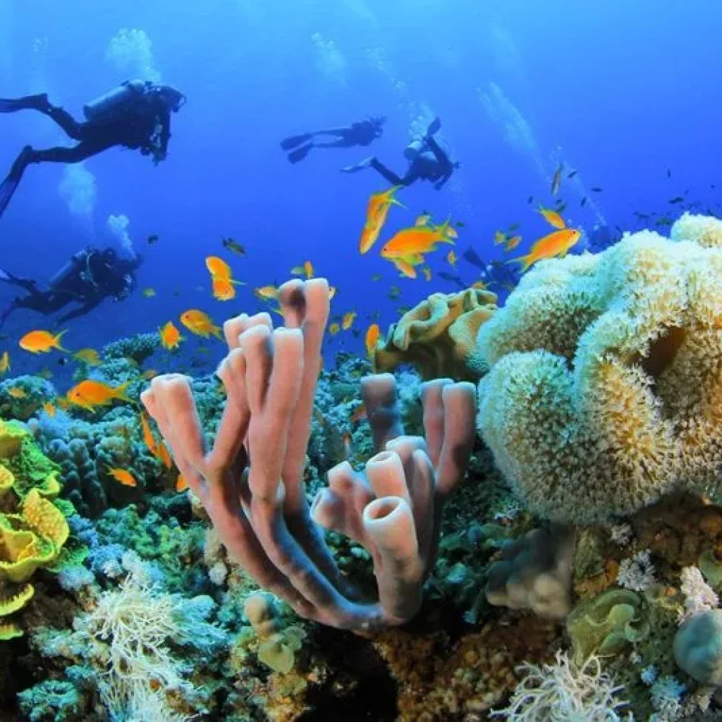 af38e125380eac6ef47d571b48589c40 1