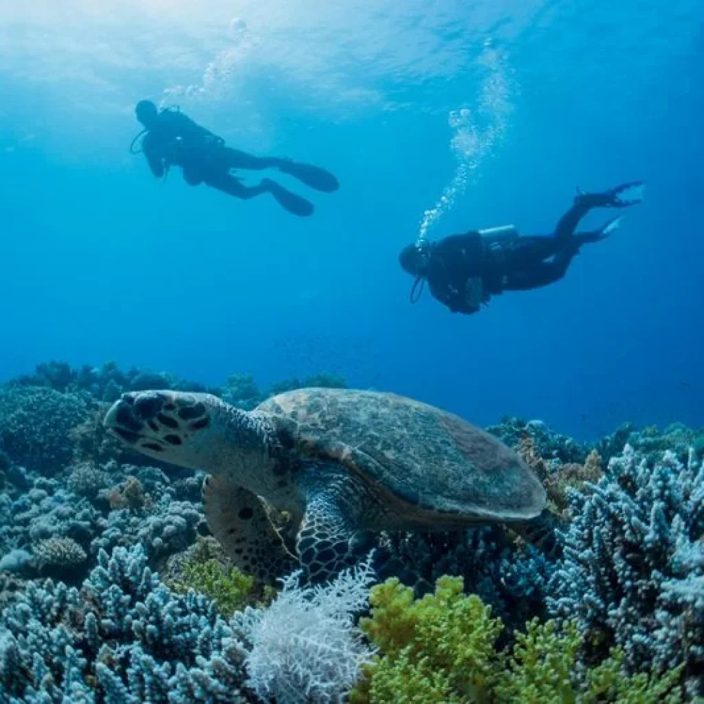 df5995cec611c9e42d8e150d5c5de8bd