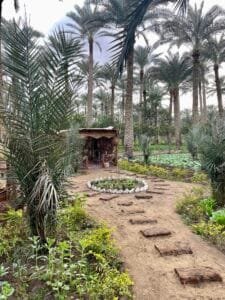 dahshur pyramid tour