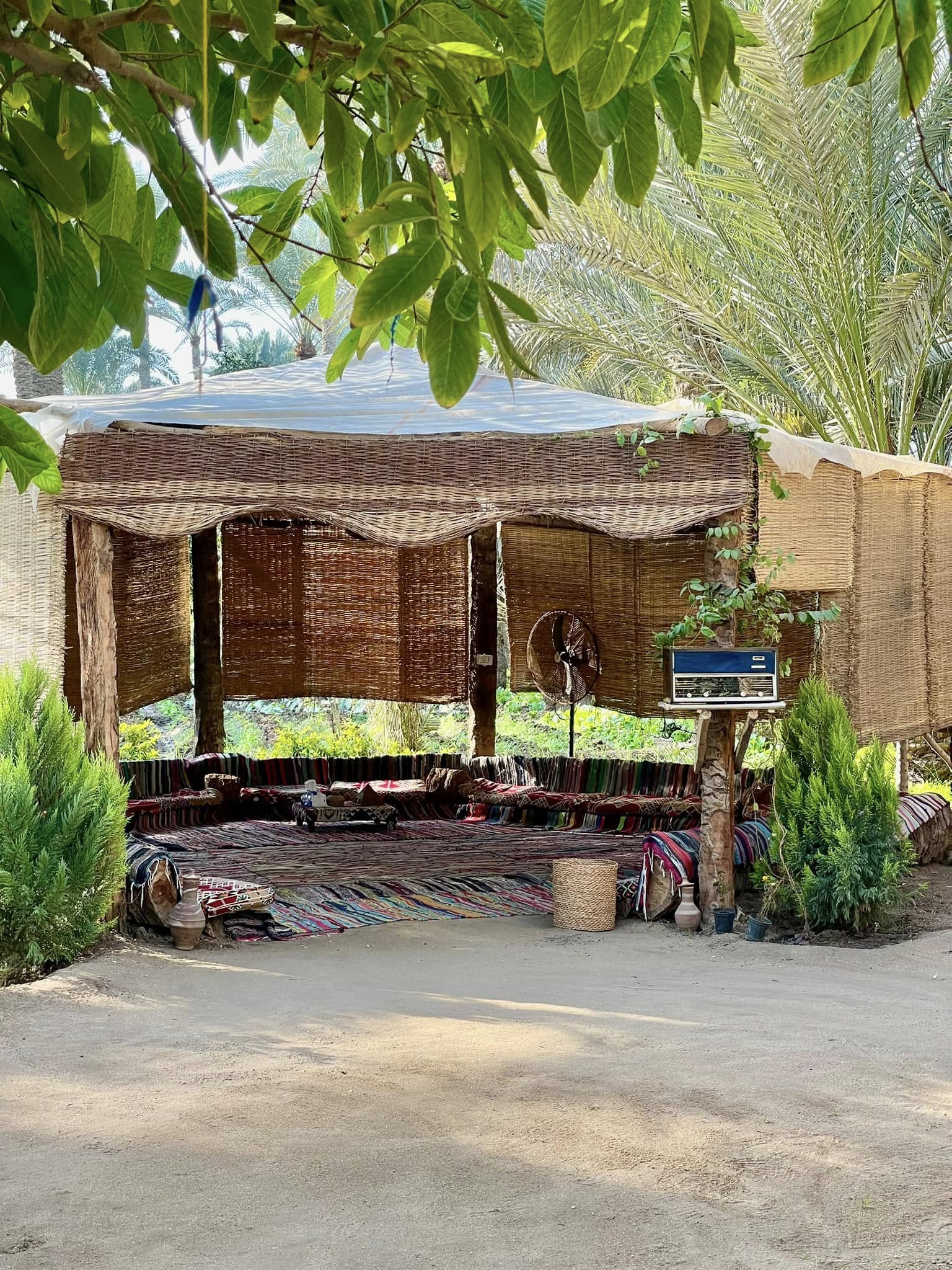 dahshur pyramid tour