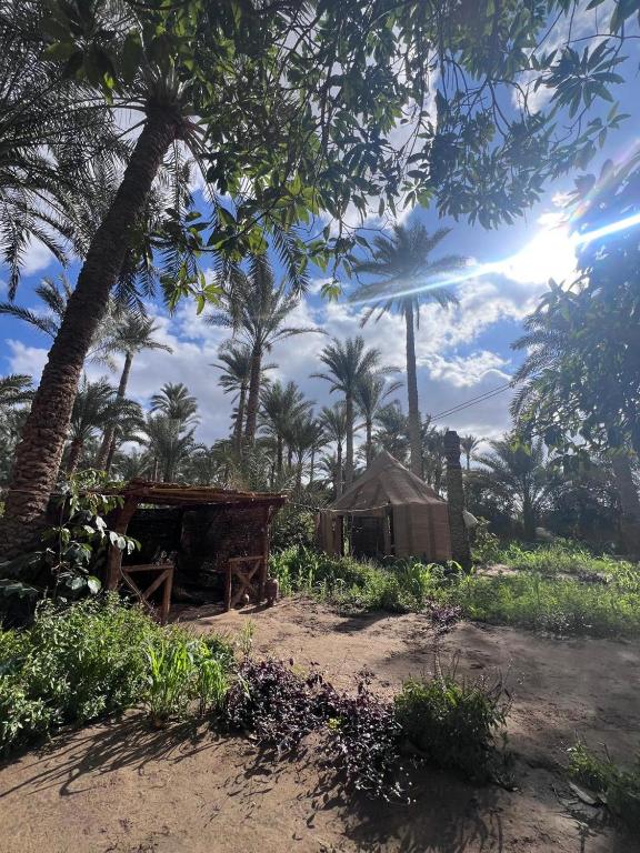 dahshur pyramid tour