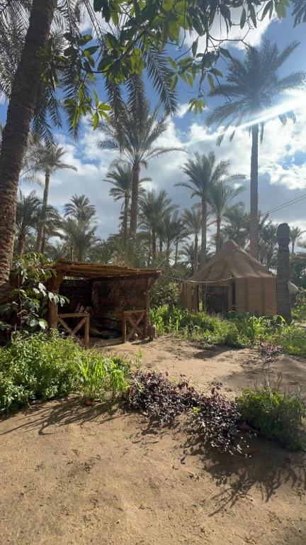 dahshur pyramid tour