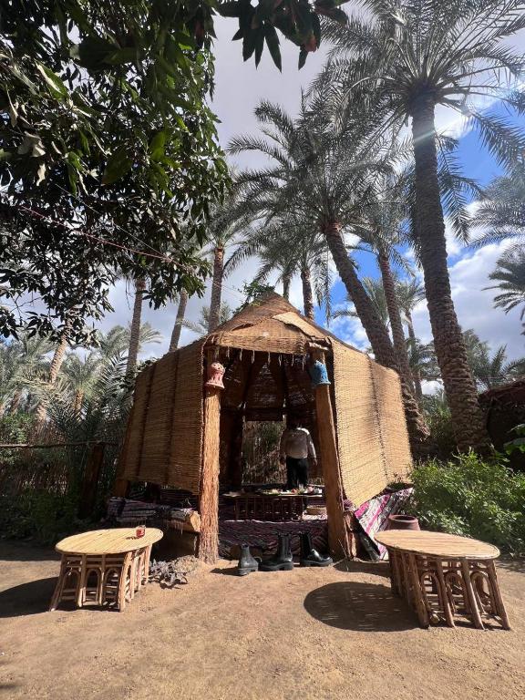 dahshur pyramid tour