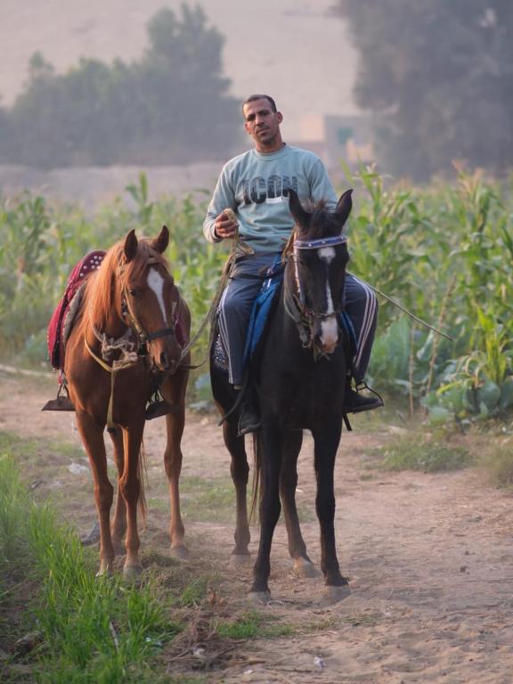 dahshur pyramid tour