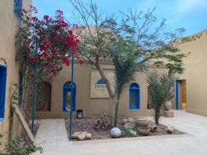 Fayoum Day Trip from Cairo