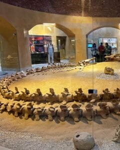 Fayoum Day Trip from Cairo