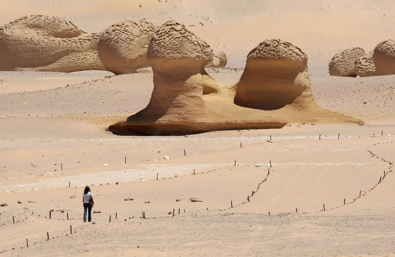 Fayoum Day Trip from Cairo