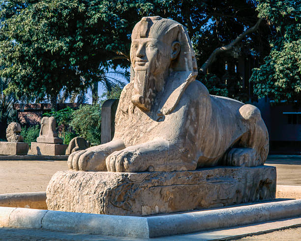 tour Saqqara e Menfi di Mezza Giornata
