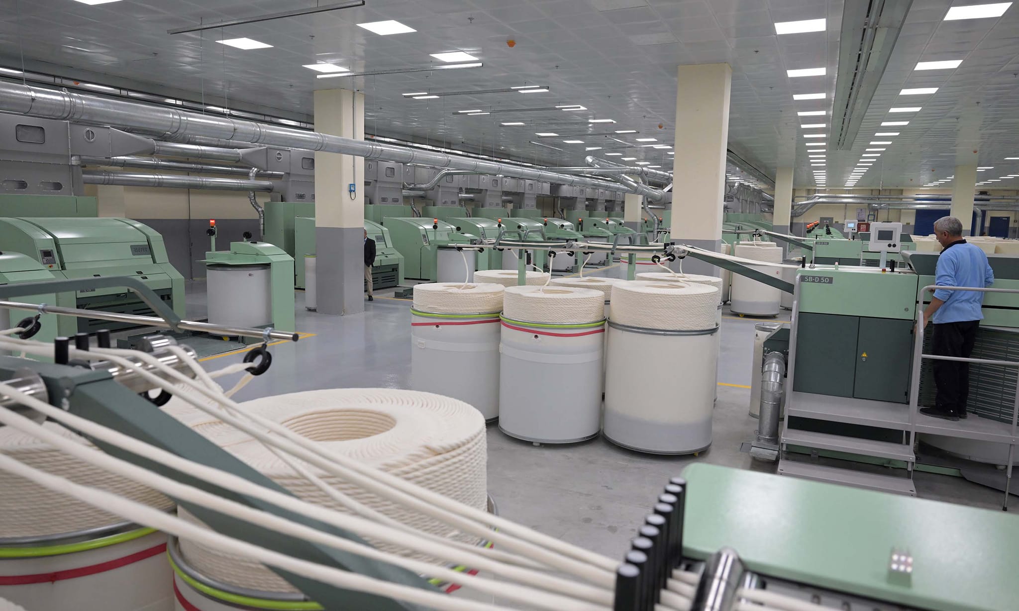 Giza Pyramids Half-Day Tour